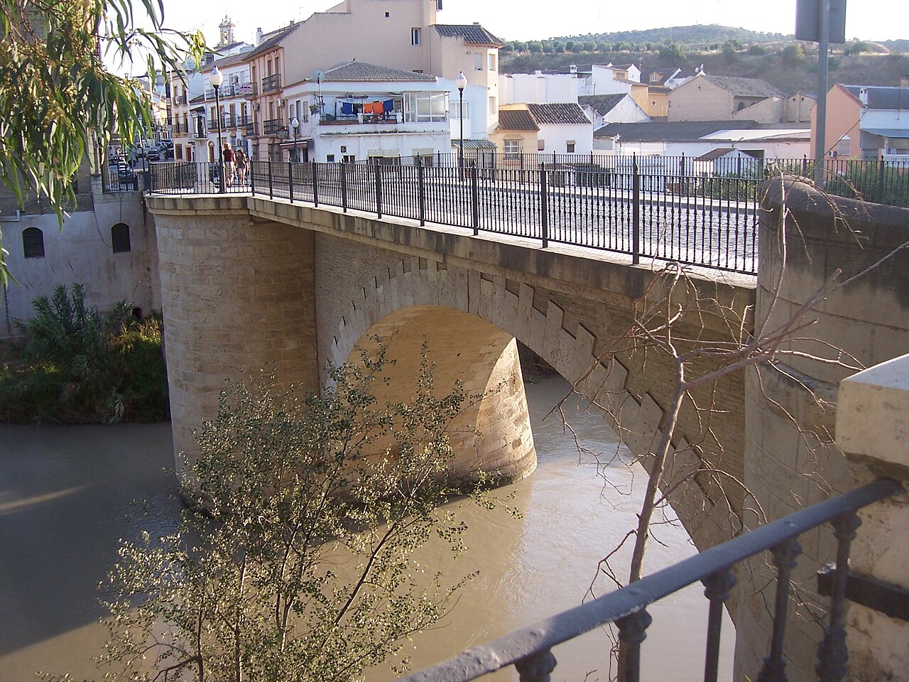 Puente Sobre El Genil