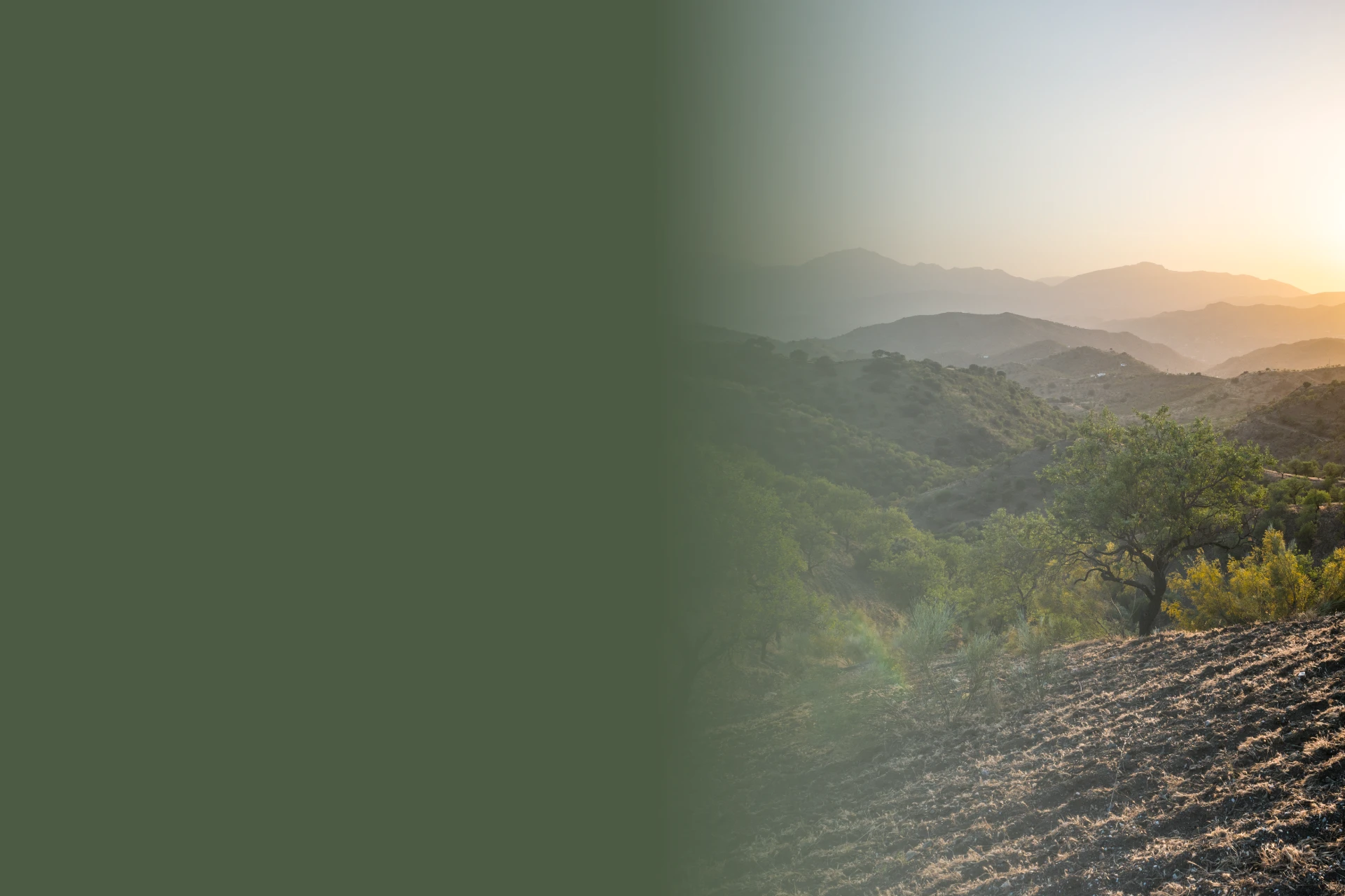 Zonas Carmen Campoy Abogada